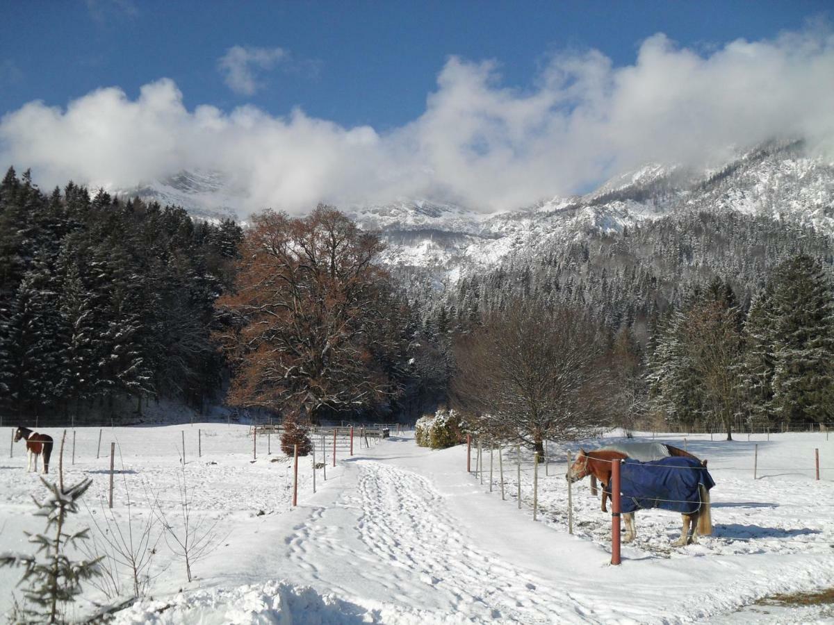 Ferienhaus Gestuet Pfaffenlehen Bischofswiesen Esterno foto