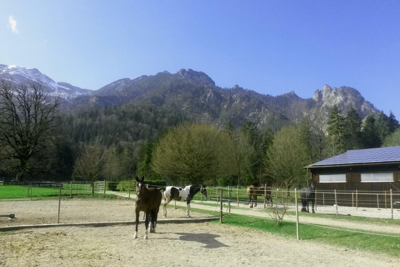 Ferienhaus Gestuet Pfaffenlehen Bischofswiesen Esterno foto