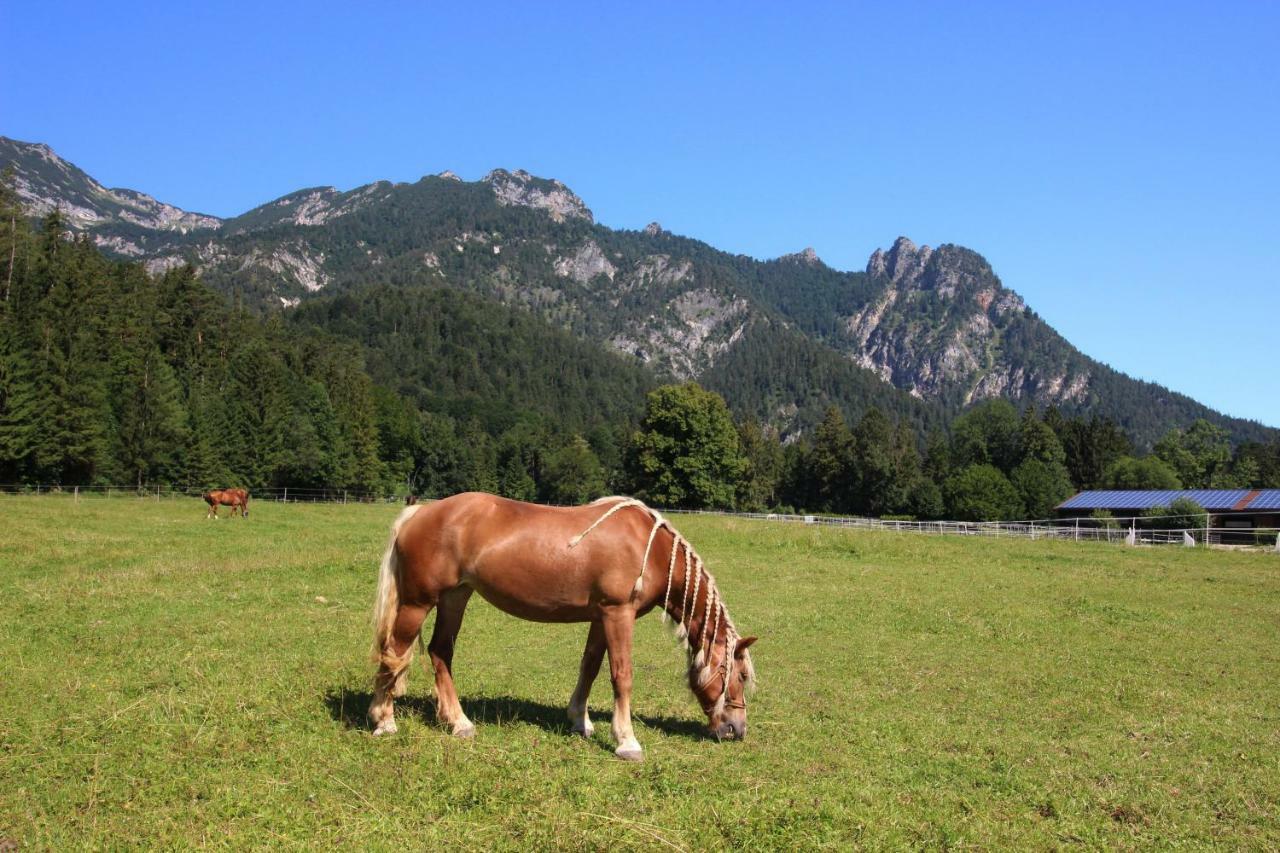 Ferienhaus Gestuet Pfaffenlehen Bischofswiesen Esterno foto